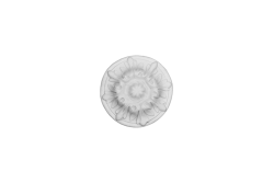 Ceiling rosette Ornament 14x14cm Plaster - ORR26 Ceiling rosette Ornament 14x14cm Plaster - ORR26