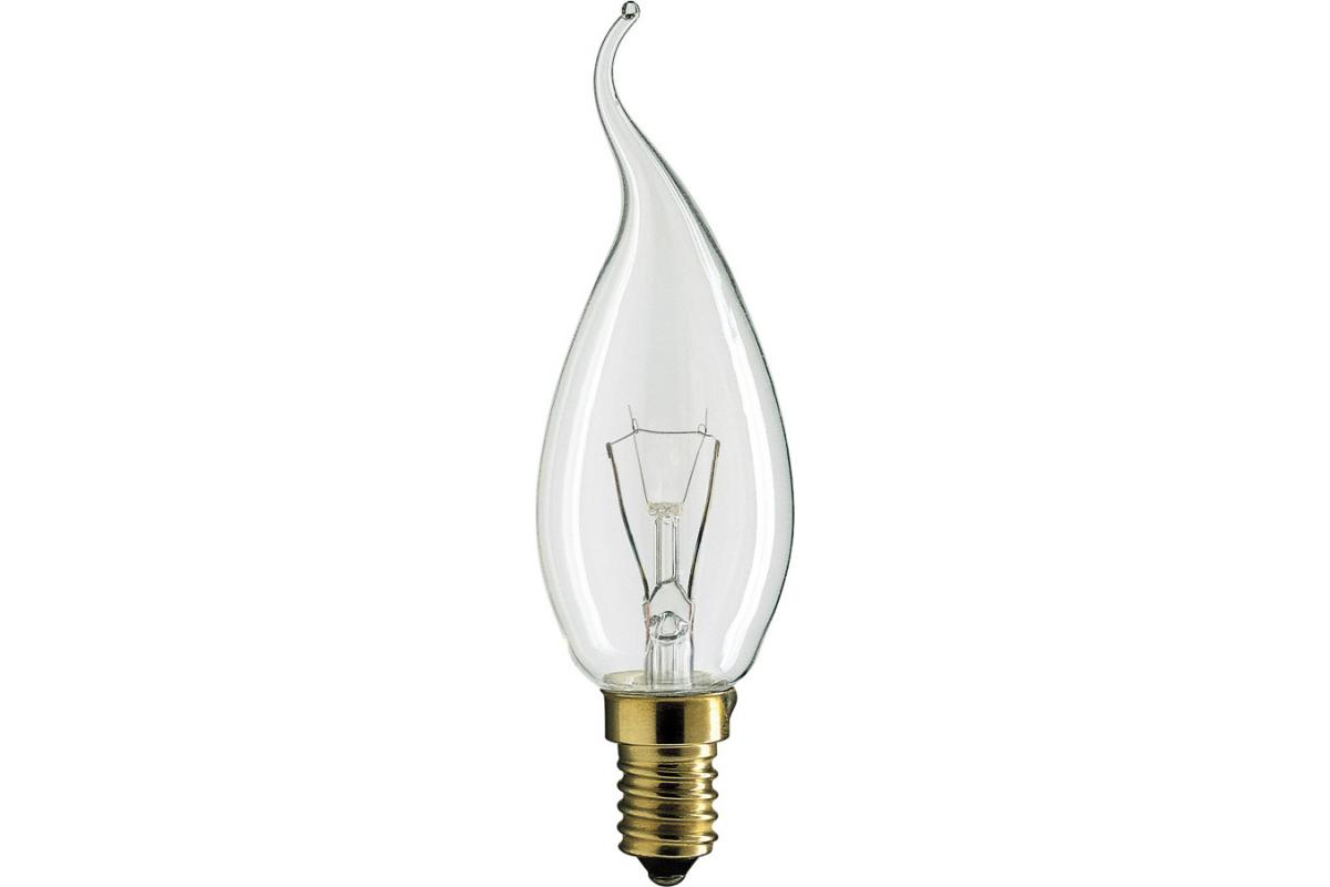 Candle light bulb clear tip 25W (Deco)