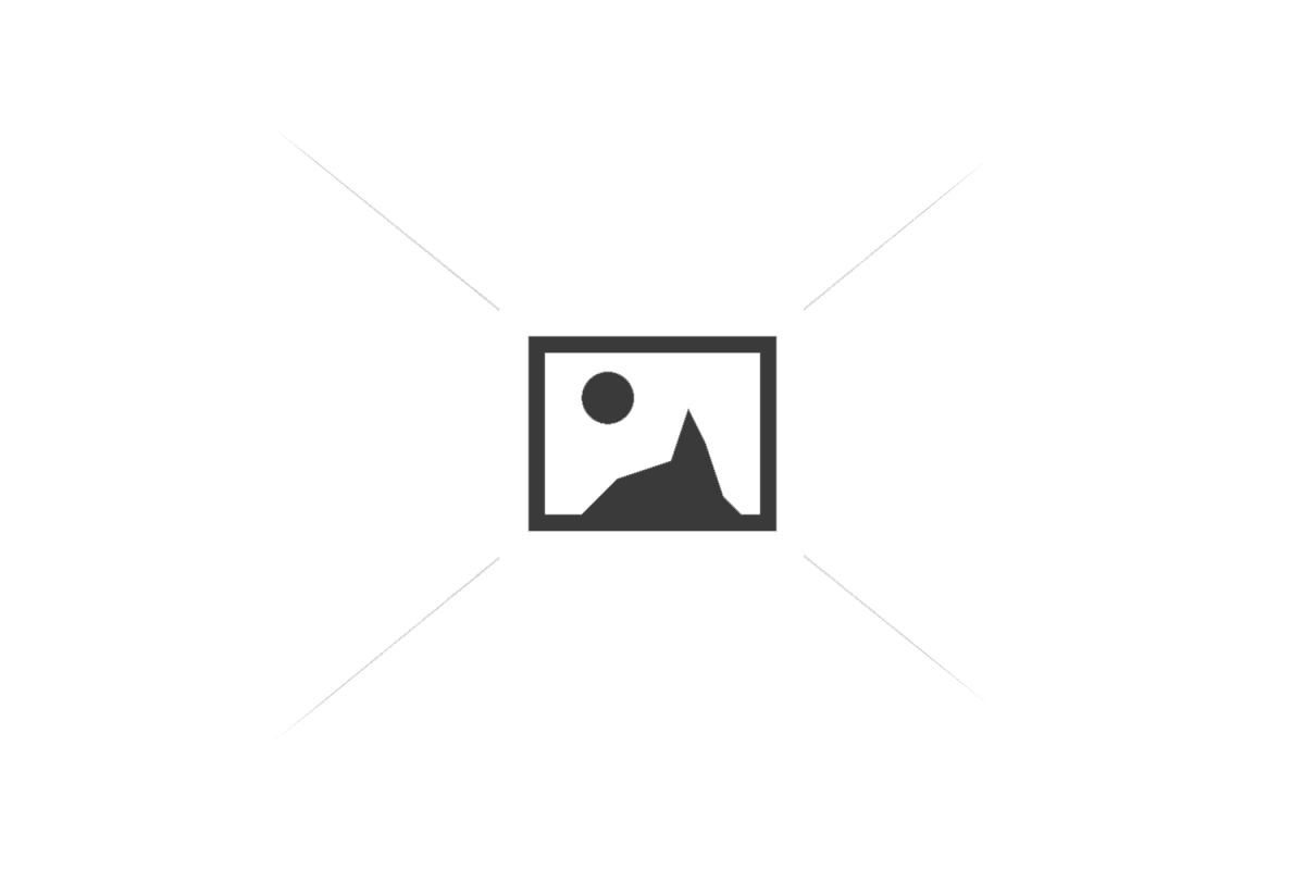 Carabiner Steel Gold Autolocker